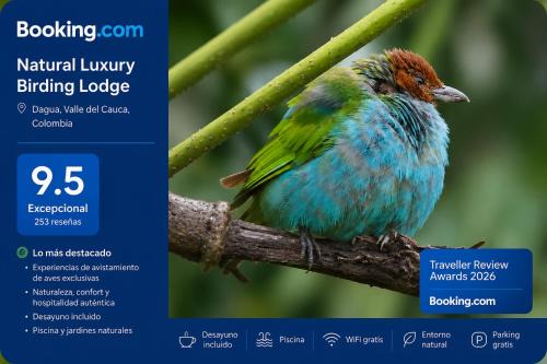 Dagua Hotel | Natural Luxury Birding Lodge - Premium Birdwatching near Cali