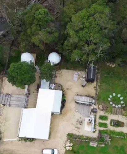 Toms Creek Other | Nature Domes
