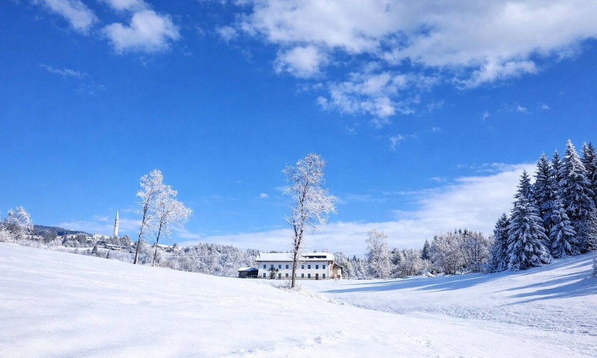 Roana House | Nature & Relaxation in the Asiago Plateau