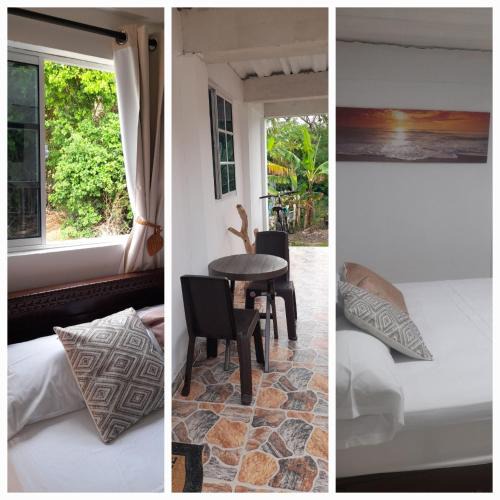Providencia Apartment | Nature View