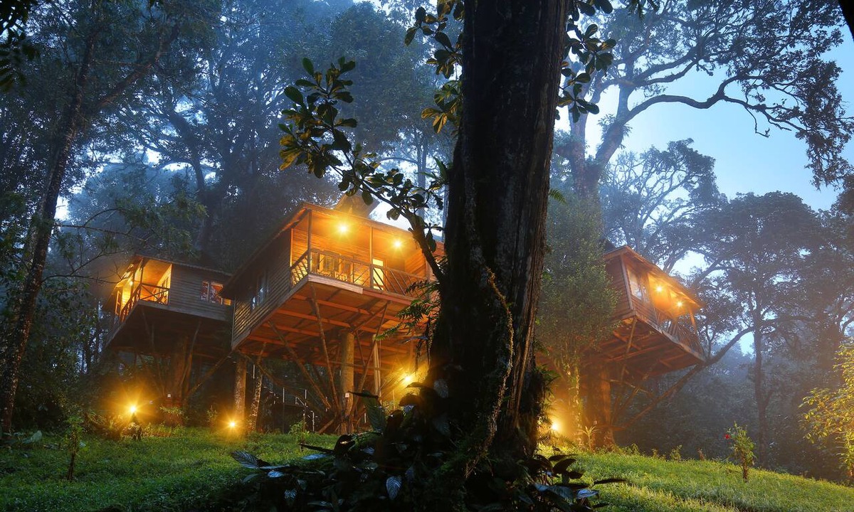 Devikolam Hotel | Nature Zone Jungle Resort