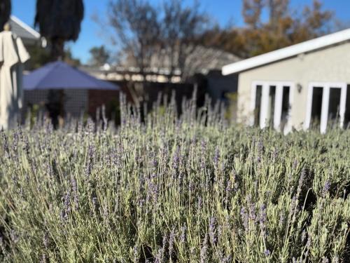 Komani Bed & Breakfast | Ndaba Golf Lodge & Hello Beautiful Day Spa