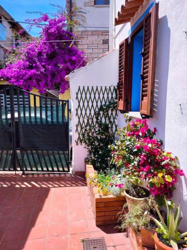 Torpe House | Nel Cortile della Casa di Carta, due Singole Unità