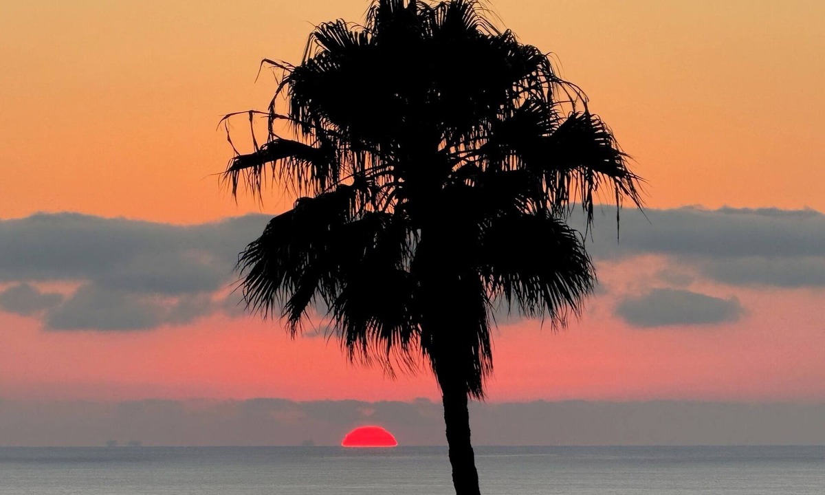 South Laguna Apartment | NEW Gorgeous Studio w AC in Laguna Beach near 1000 Steps
