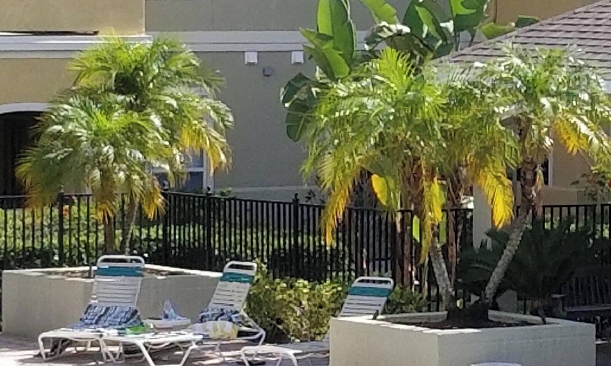 Clearwater Condo | NEW LISTING! AVALON - Newly renovated condo on ground floor with pool view.