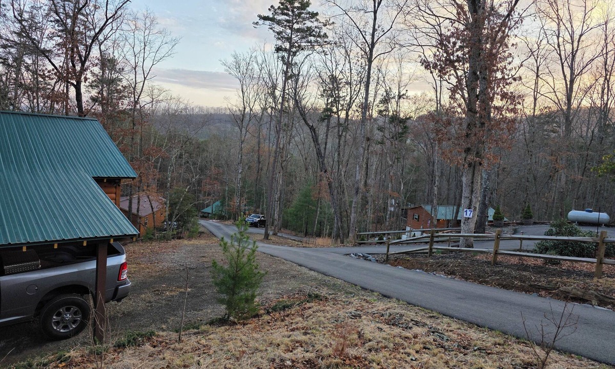 Murphy Cabin | NEW LISTING! Mountain Cabin Getaway with a fire pit, High Speed Internet, Dog OK