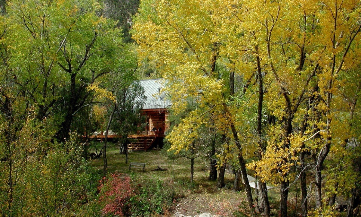 Ridgway House | NEW LISTING! Spectacular setting, Log Cabin w/Cascading Decks to Fishing Creek