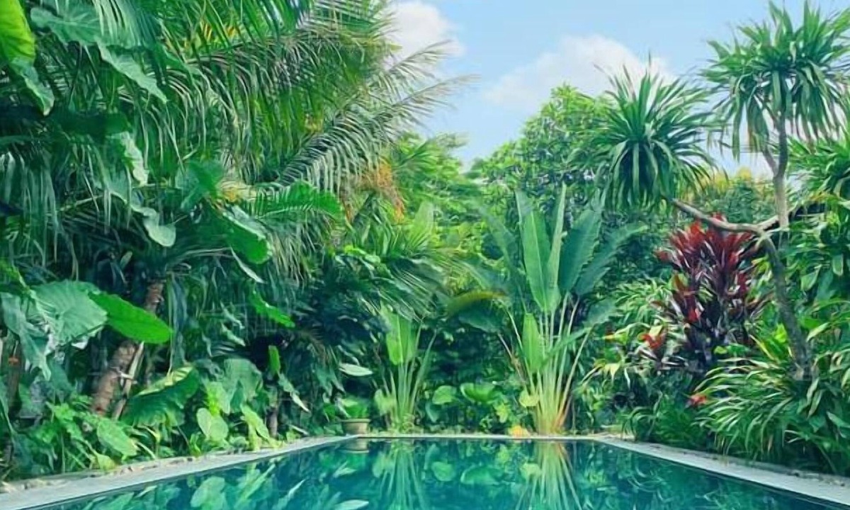 Gia Vien Resort | Nha Lua homestay
