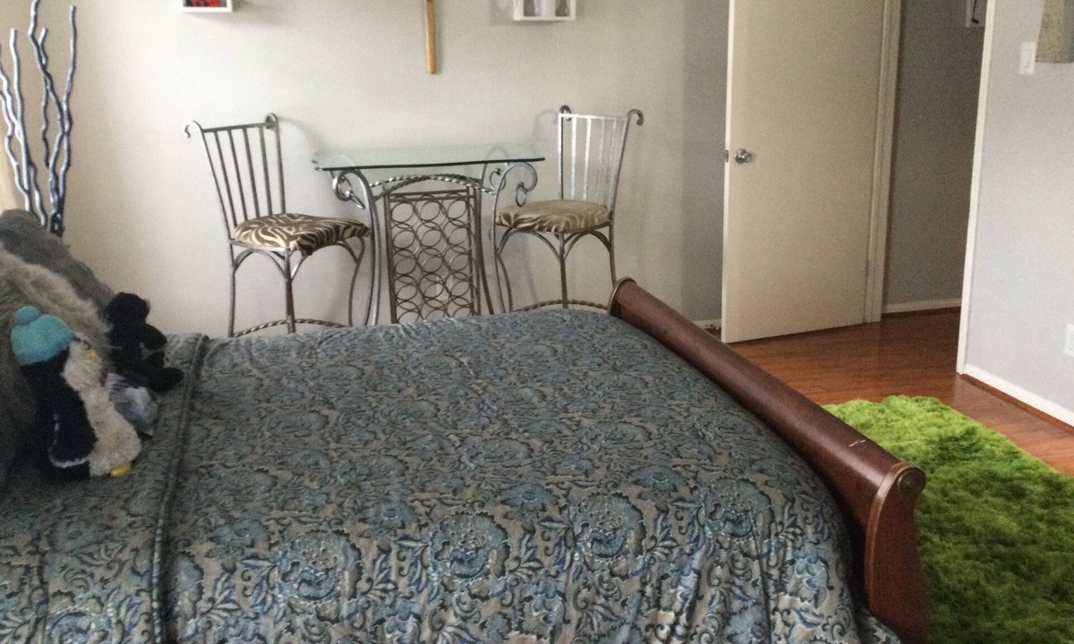 Astrodome House | Nice one bedroom with a full bath in a gated community must be dog friendly