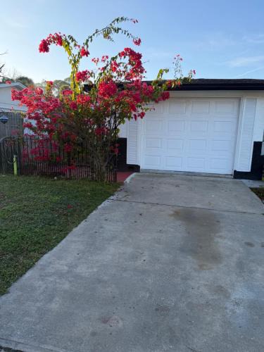 Port Richey House | Nice private room with separate entrance