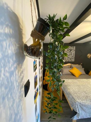 Hunedoara Apartment | Night Lotus