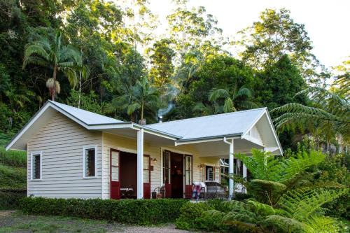 Whian Whian Cabin | Nightcap Ridge - Byron Bay Hinterland