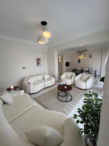 Al Manial Apartment | Nile View Luxury Apt Royal View of the Nile and the Four Seasons