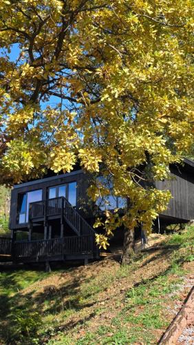 Hangu Villa | Nomad Hill Cabins