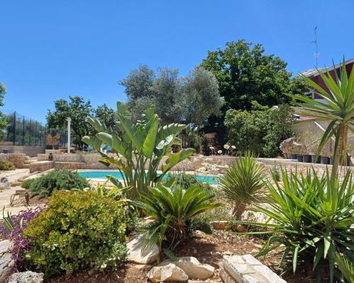 Santo Spirito House | nonnacampagna