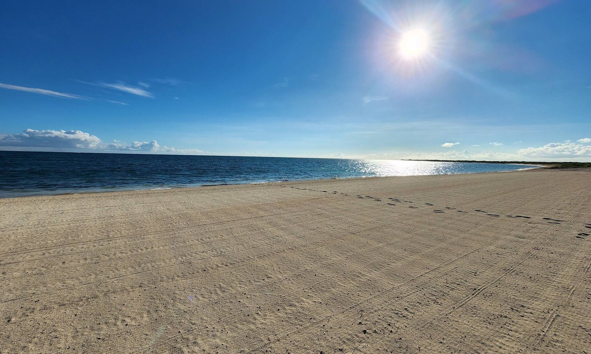 Wheeland Settlement Condo | Northwest Nirvana-Gorgeous & serene. New renovation & listing.