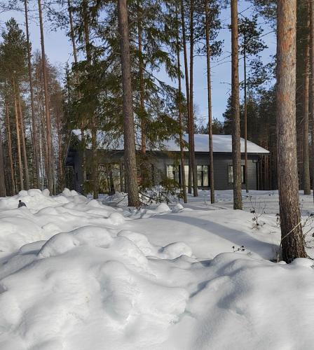 Rovaniemi Villa | Norvalisma