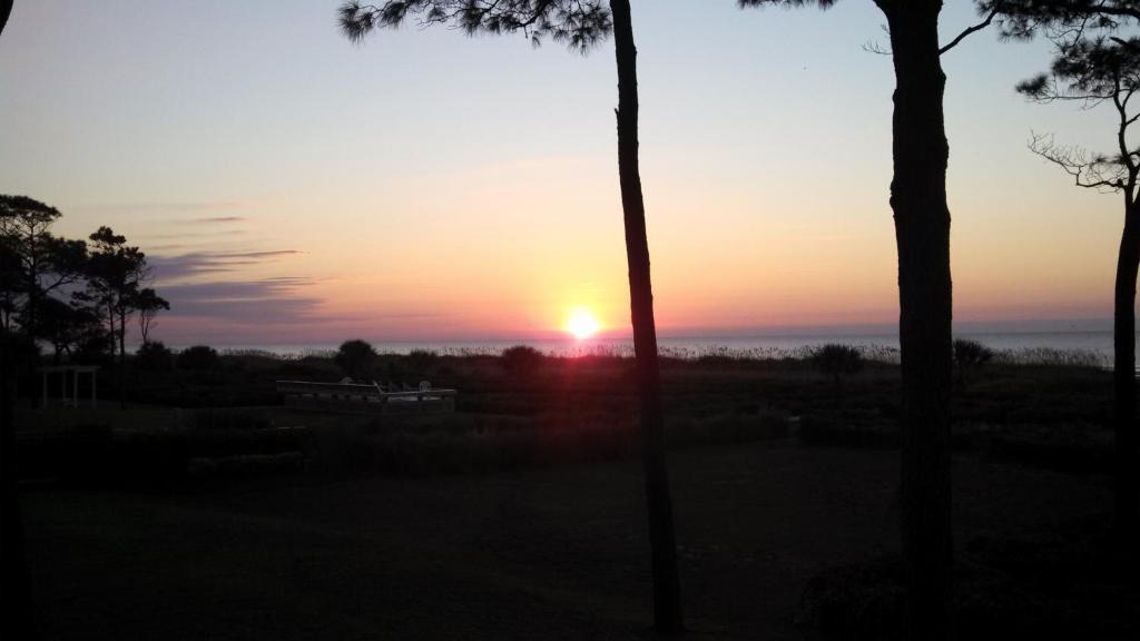 Hilton Head Island Apartment | Nothing But Ocean in Forest Beach