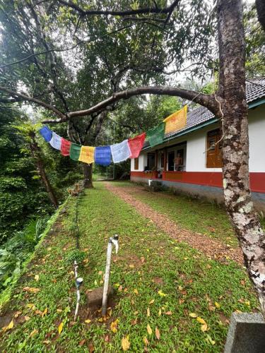 Pala House | Nutmeg nirvana