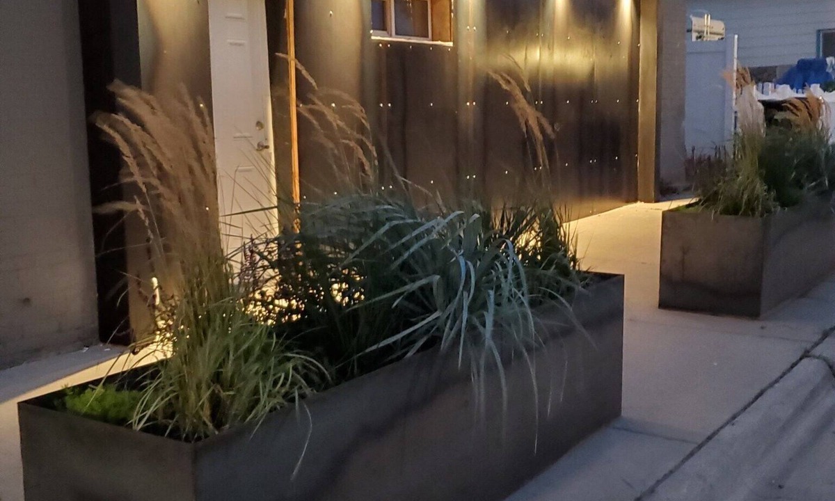 Anaconda Apartment | Nye's Place!