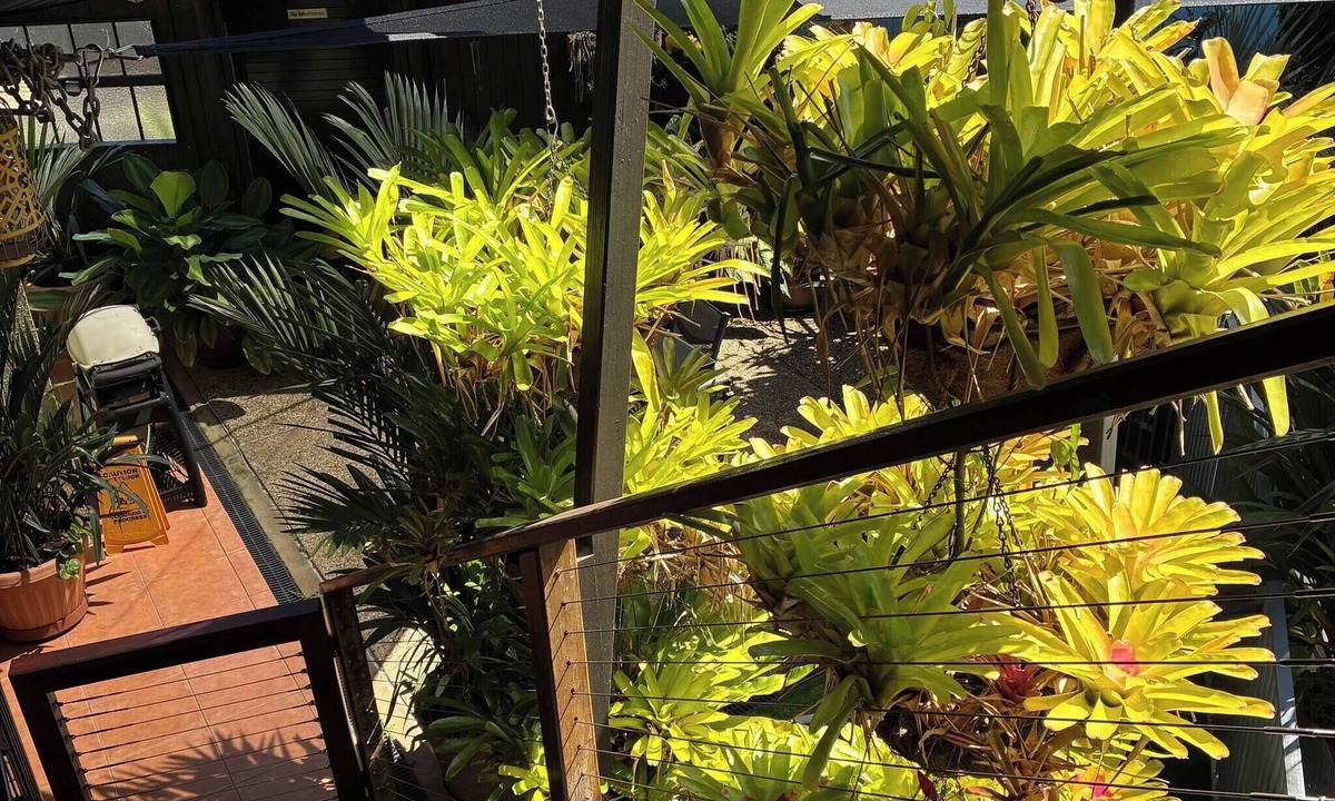 Whitfield Apartment | Oasis Leafy Whitfield