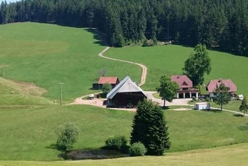 Schollach Apartment | Oberengenbachhof