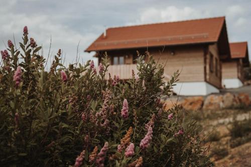 Schotten Ski Chalet | Oberwald Chalets 1