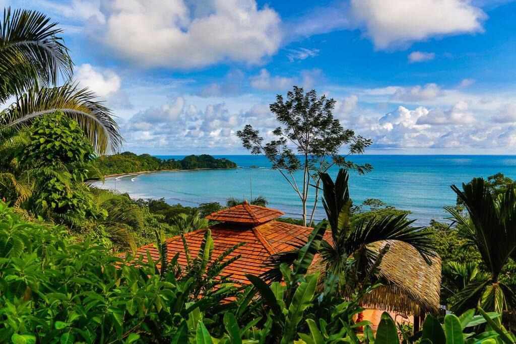 Dominicalito House | Ocean view villa, big infinity pool