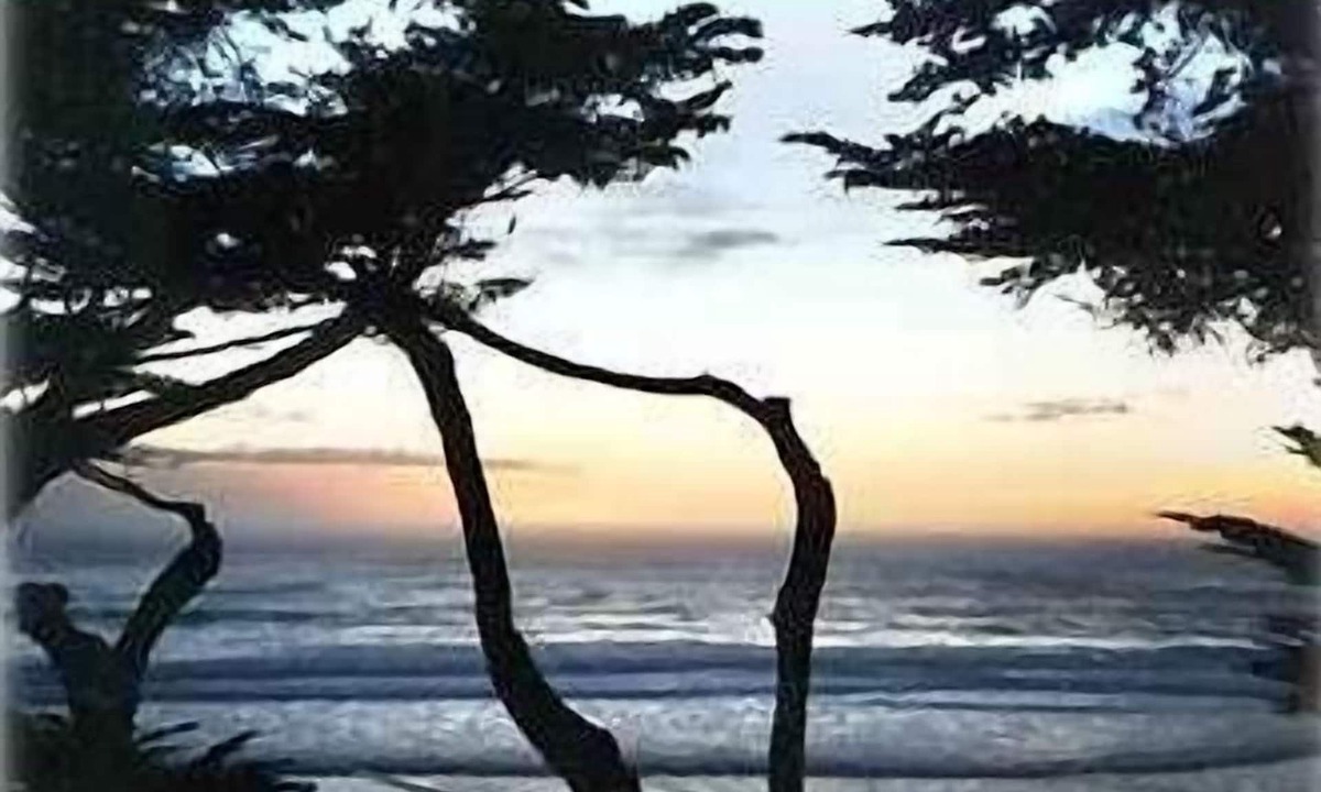 Golden Rectangle House | Oceanfront Beach House, just down the beach from Pebble Beach