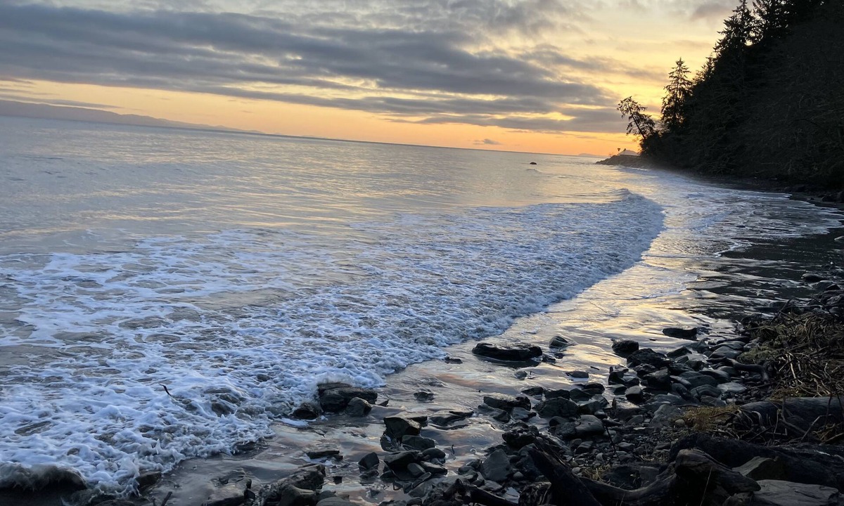 Sekiu House | OceanFront Cottage, Beachwander for miles &/or explore the Olympic National Park