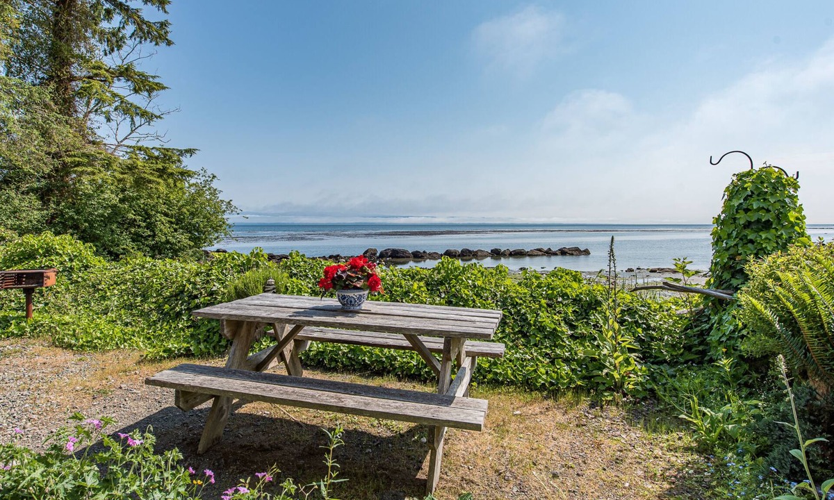 Sekiu Cottage | OceanFront Cottage, Beachwander for miles &/or explore the Olympic National Park
