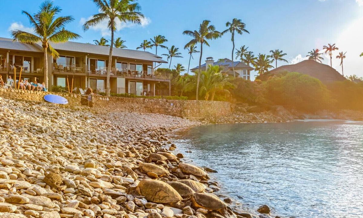 Napili Condo | Oceanfront Maui Condo 3BR – Snorkeling with Turtles in Private Cove