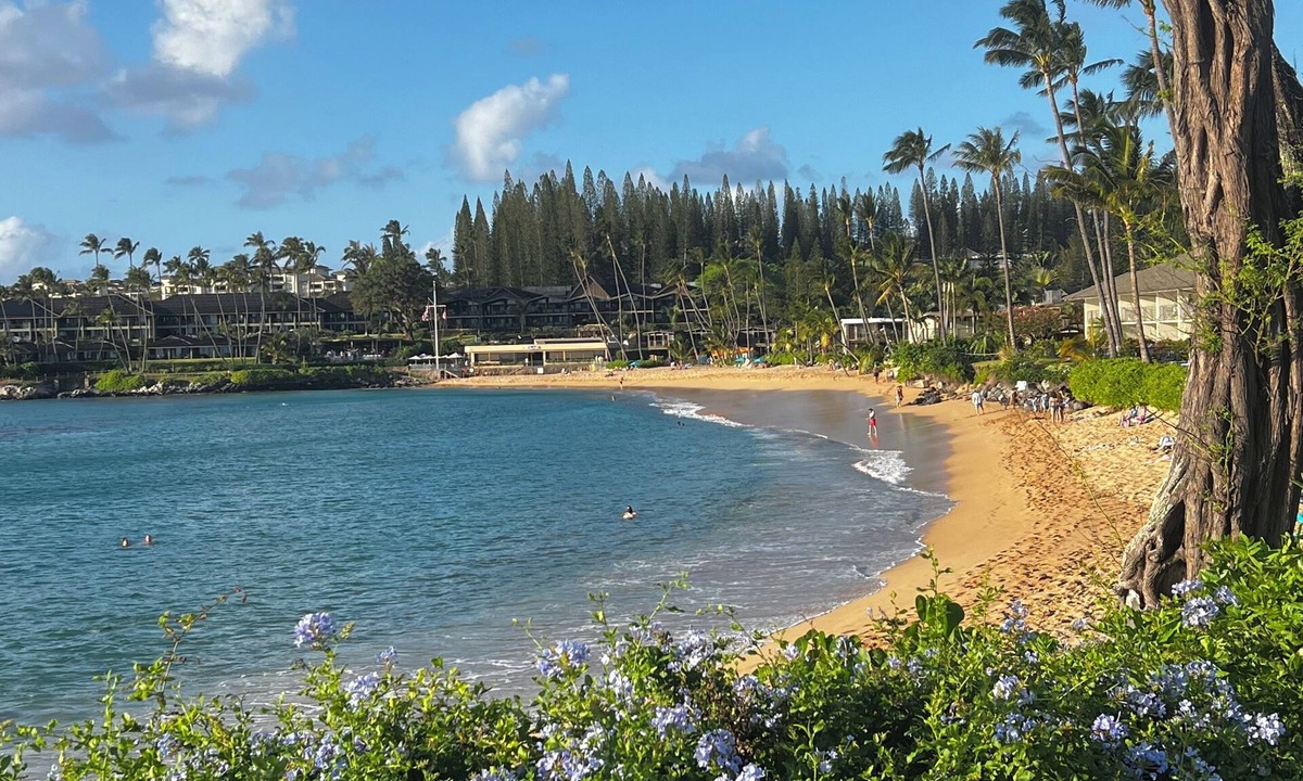 Napili Condo | Oceanfront Remodled Napili Resort Beach, Pools & AC
