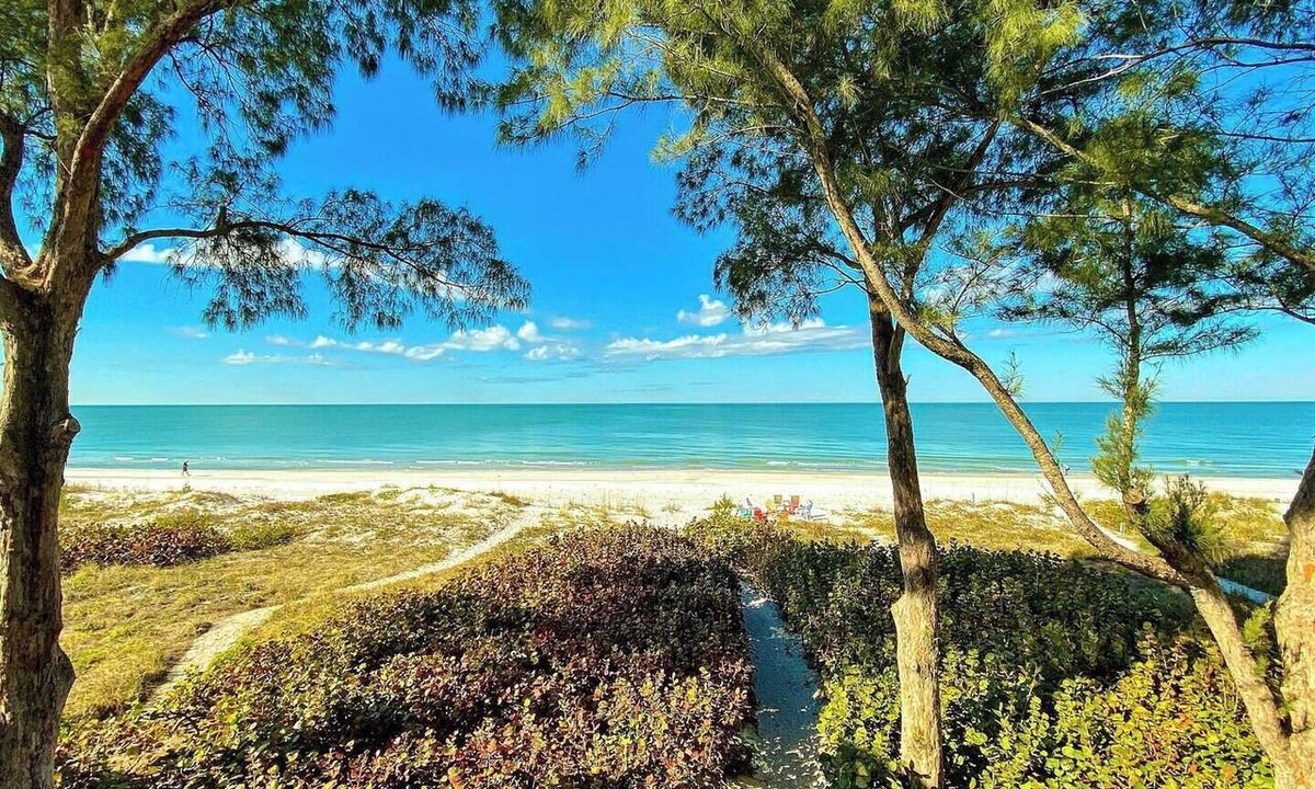 Indian Shores Condo | Oceanfront · Steps to Sand · Free Kayaks
