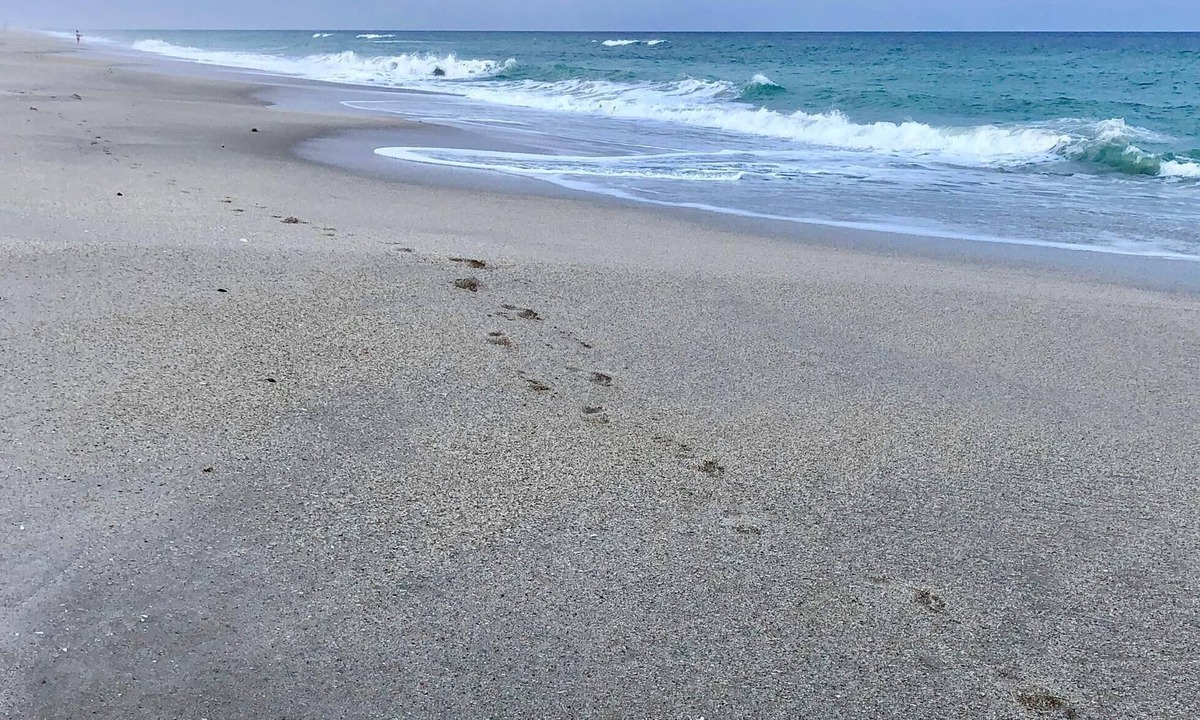 Melbourne Beach Apartment | Oceanfront Suite on Beautiful New Melbourne Beach - Fall Sale!