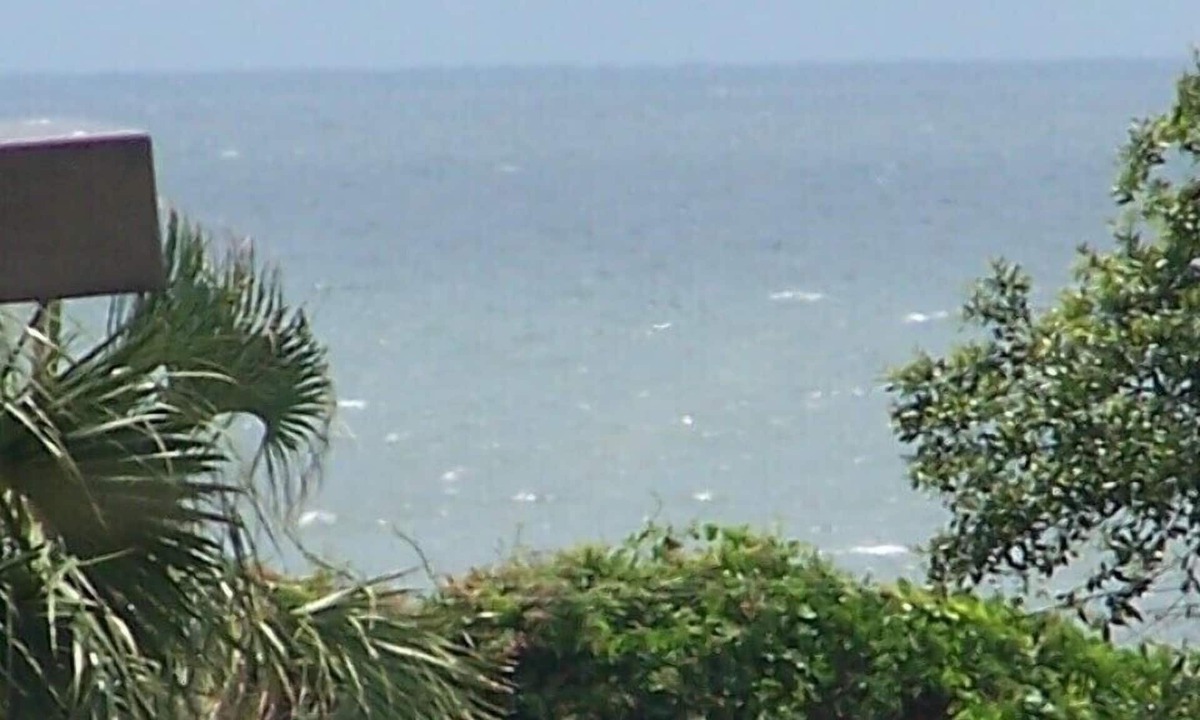 Folly Field Condo | Oceanview Condo - overlooking pool and 100 yards to beach