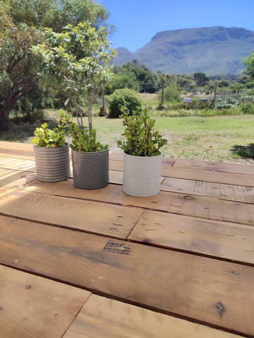 Noordhoek House | Off grid cottage
