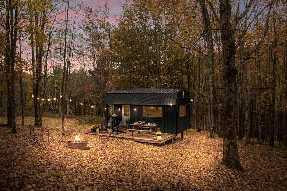 Bovina Center Cabin | Off-Grid Tiny Cabin Retreat with Fire Pit & Forest Views in Bovina, New York