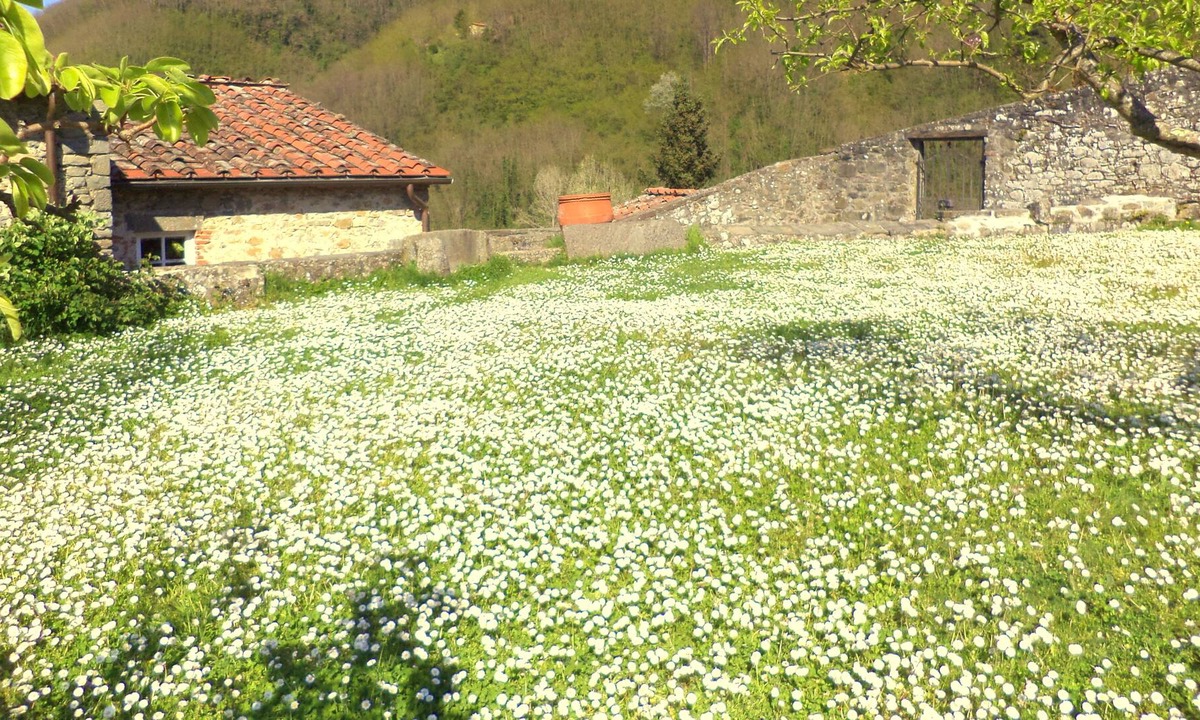 Nozanno House | Old mill in Tuscan countryside with pool and views just 30 minutes from Lucca