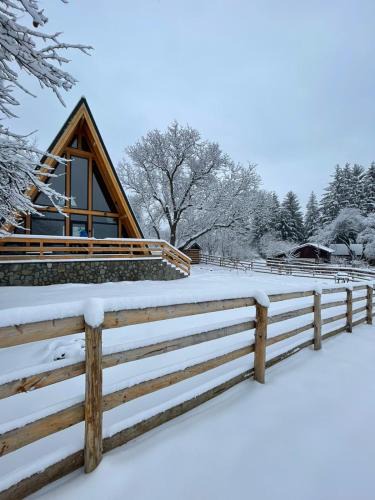 Traisteni Ski Chalet | Old Nut Cabin