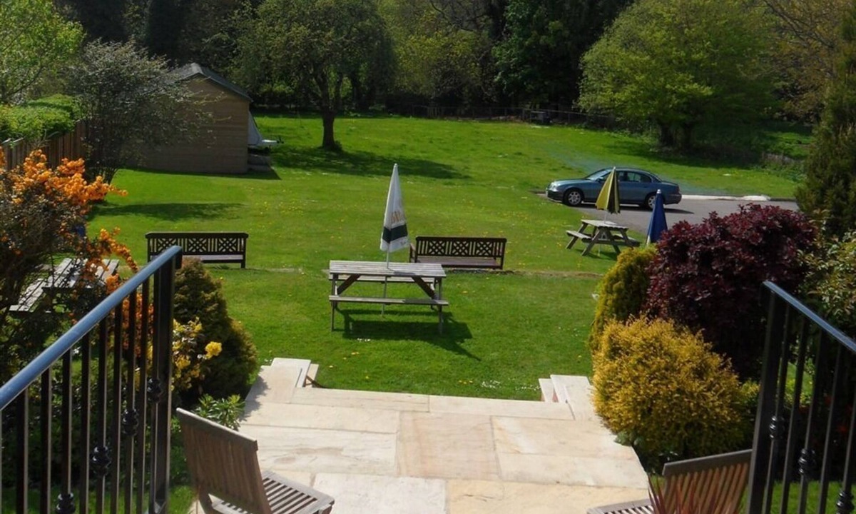 Thirsk House | Old Oak Tree