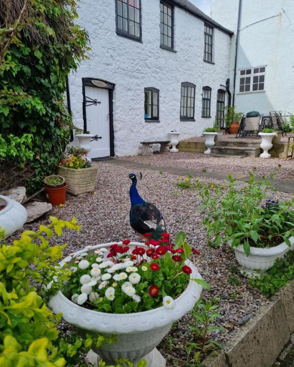 Ruthin House | Old Printers Ruthin