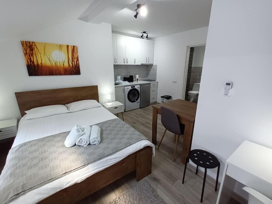 Baia Mare Apartment | Old Town Studio 2 Apartment nr 3