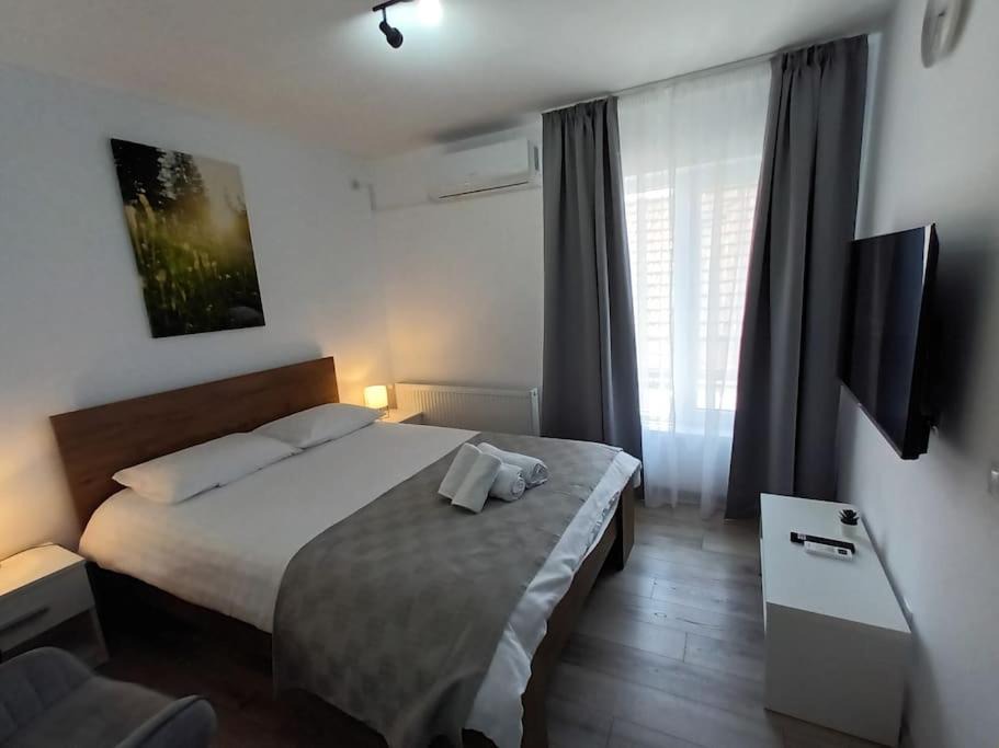 Baia Mare Apartment | Old Town Studio 2 Apartment nr 4