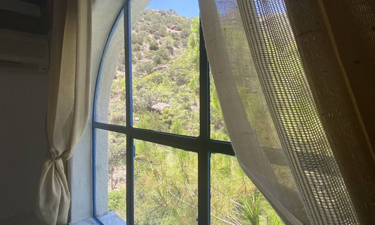 Ferma House | Oleander's Garden