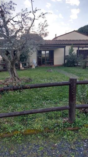 Cecina Apartment | Oleandro Cottage with garden
