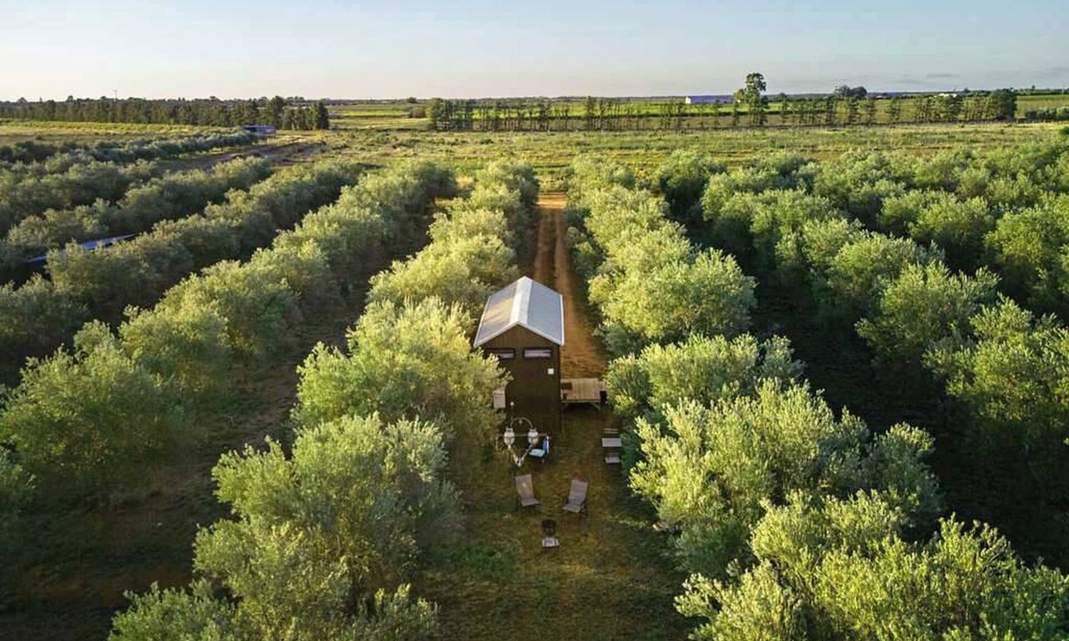 Tresco House | Olive Grove Retreat 2 by Tiny Away