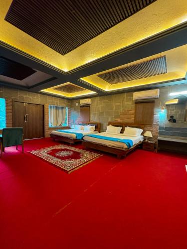 Tala Hotel | Olive