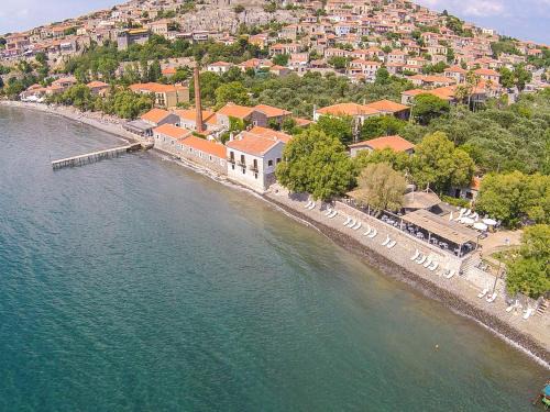 Mithimna Hotel | Olive Press Hotel