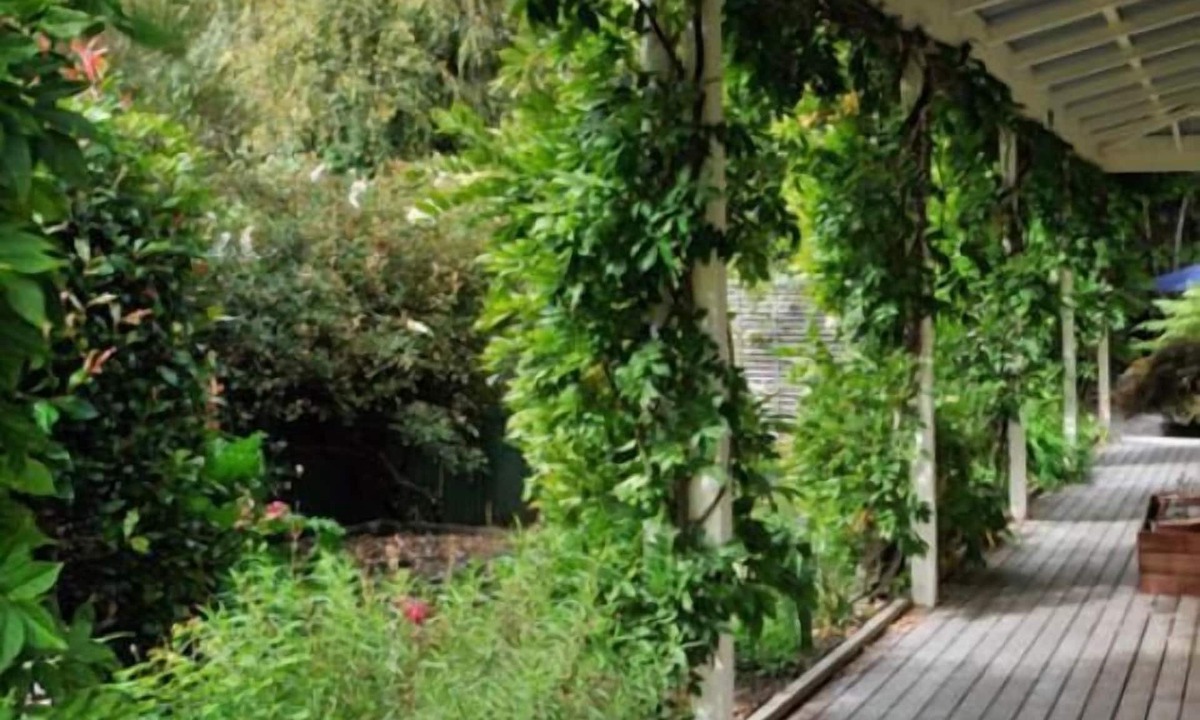 Turangi Bed & Breakfast | Olive Rabbit - Boutique Bed & Breakfast